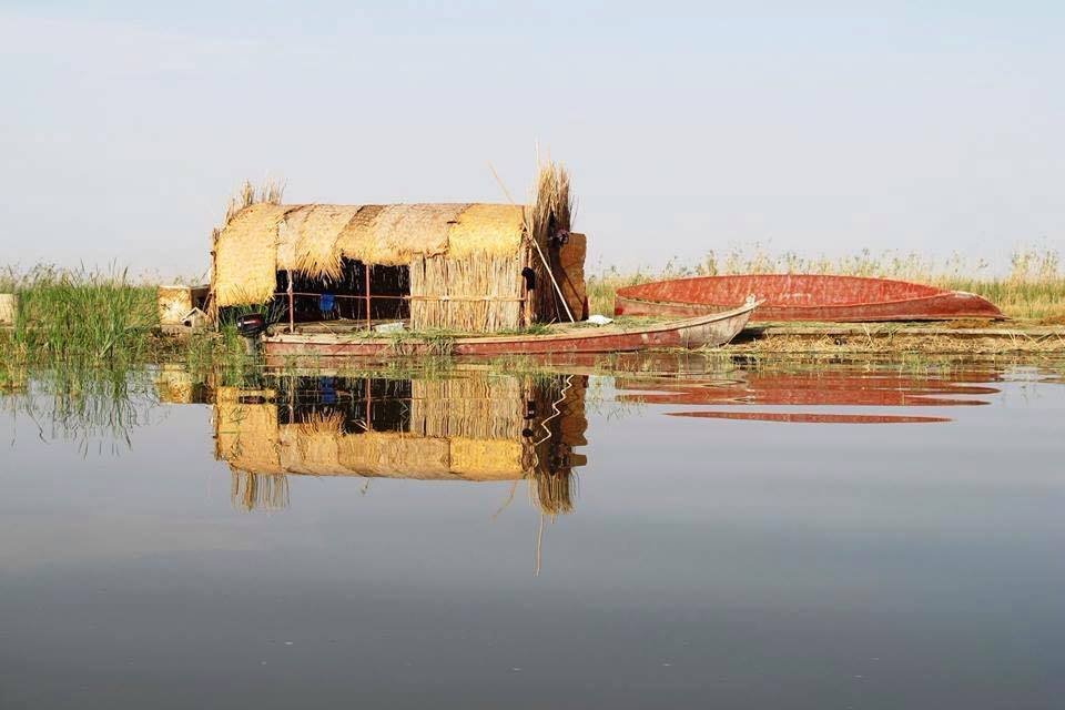 عودة الحياة إلى أهوار الجبايش في ذي قار بعد موجة الأمطار