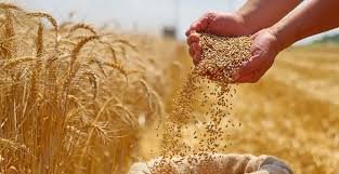 وزير المالية يؤكد إطلاق مستحقات الفلاحين بعد عيد الأضحى المبارك